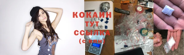 трава Гусь-Хрустальный