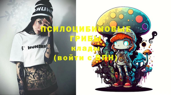 ПСИЛОЦИБИНОВЫЕ ГРИБЫ Гусиноозёрск
