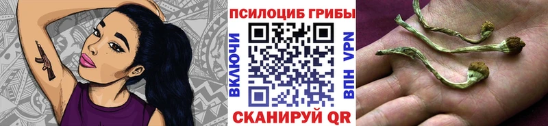ОМГ ОМГ зеркало  Приозерск  Галлюциногенные грибы мухоморы  где купить наркотик 